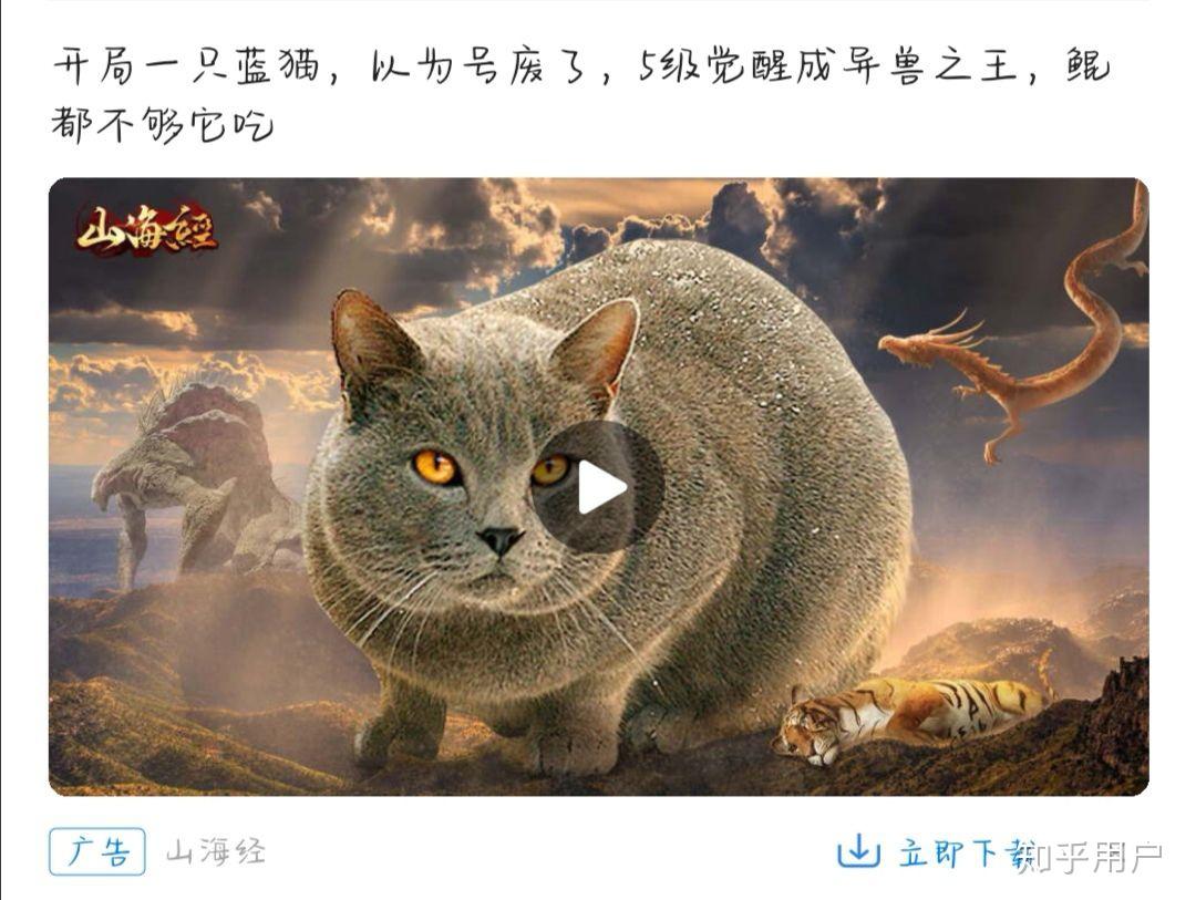 手机版山海经游戏广告太多_山海经广告下载_山海经手游广告是哪个游戏