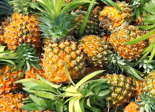 黑凤梨_黑凤梨歌曲《喜欢你》_黑凤梨暗示啥意思