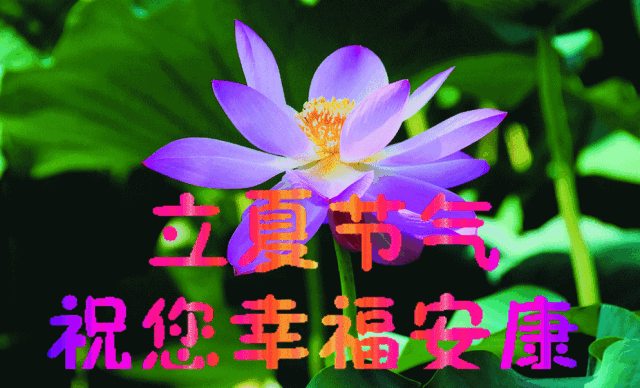 最好的游戏手机视频_游戏视频热门手机软件_热门游戏手机游戏视频