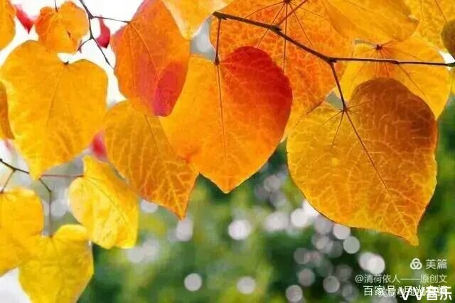 甜心假面_甜心假面头像_甜心假面结局