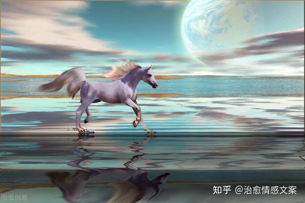 荒骷髅-夜幕下的荒野骷髅，承载着生命与梦想的悲凉故事