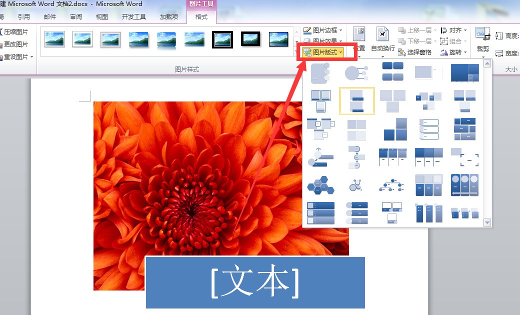 word怎么在字母上方加一横-Word 技巧：轻松给字母上方