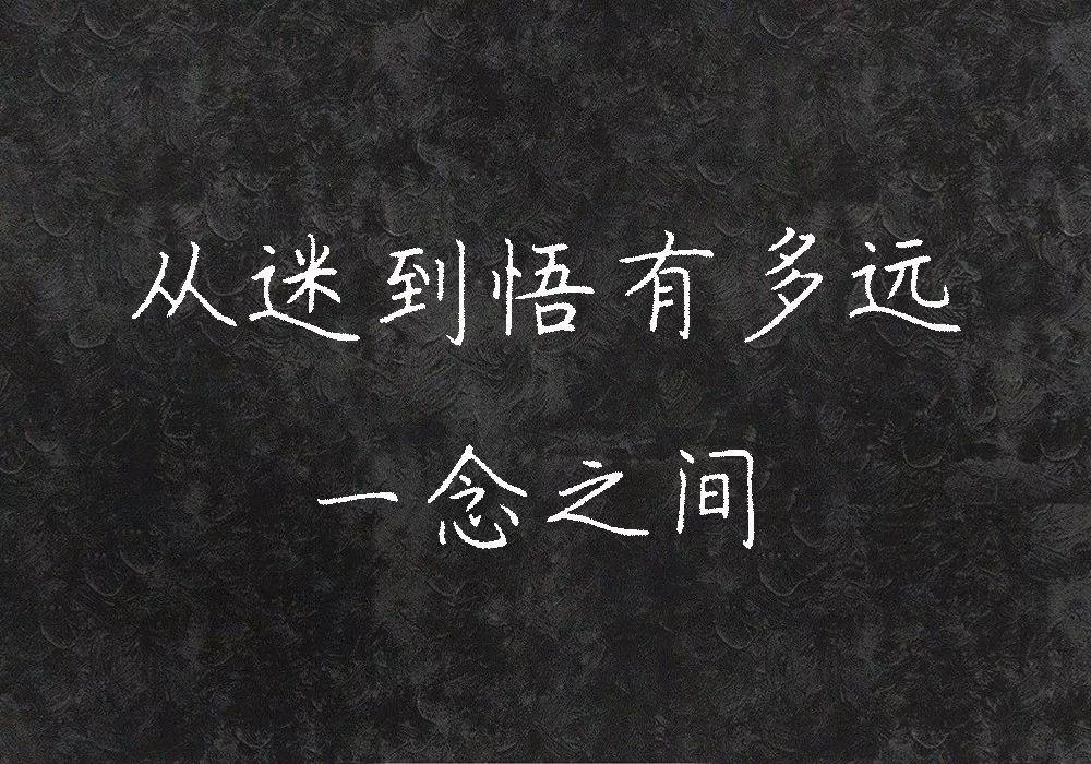 迷失z城好看吗_豆瓣迷城_迷失之城豆瓣