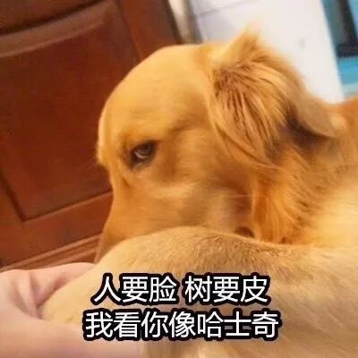 喜欢的人忘记戴眼镜了-遇见忘记戴眼镜的他，我的心像小鹿乱撞，