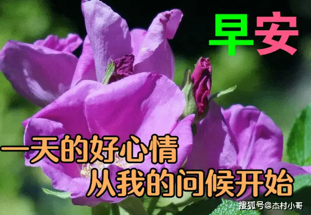 芹泽优_芹泽蕾拉_芹泽