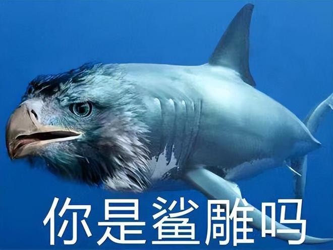 沙雕求生游戏如何联机手机-笑到不行！手机沙雕求生联机游戏，搞