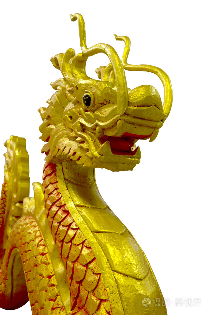 机甲龙_机甲龙兽_机甲龙袍