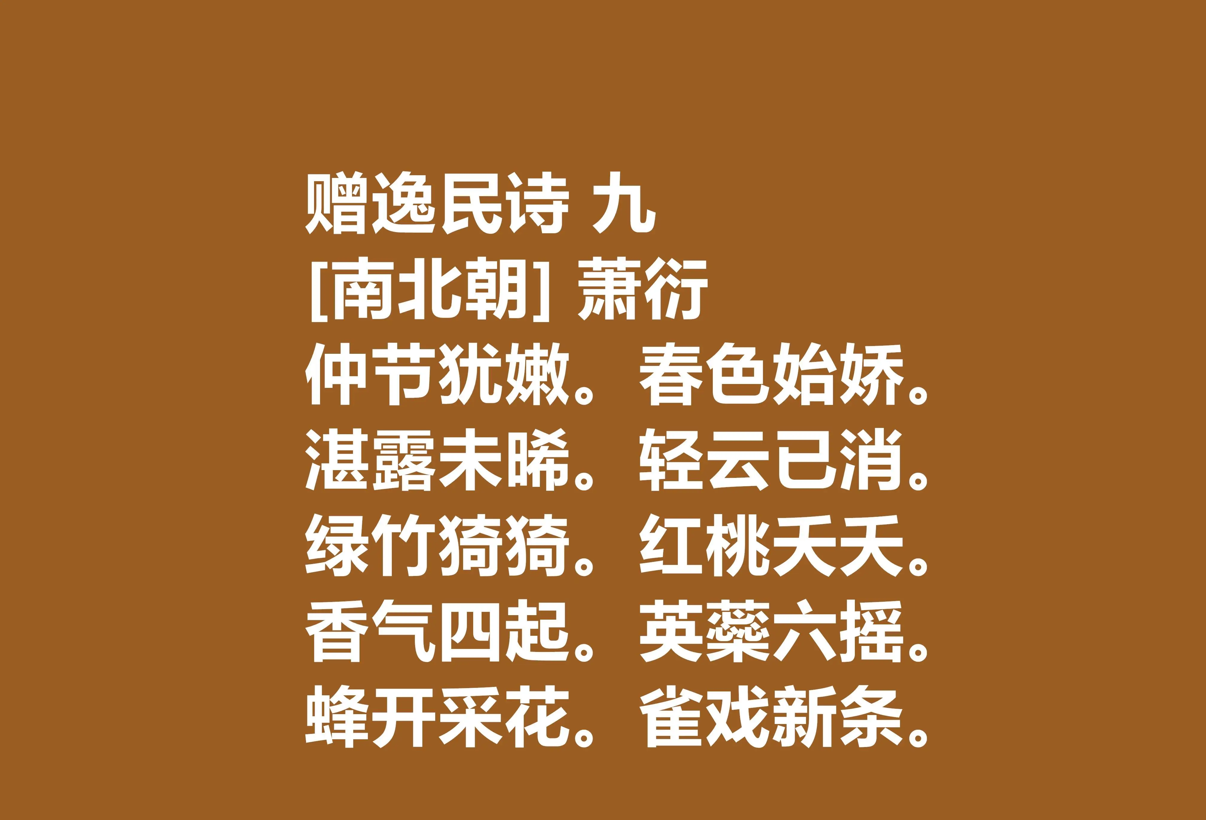 赤松枫：秋天的诗人，情感的寄托，生命的象征