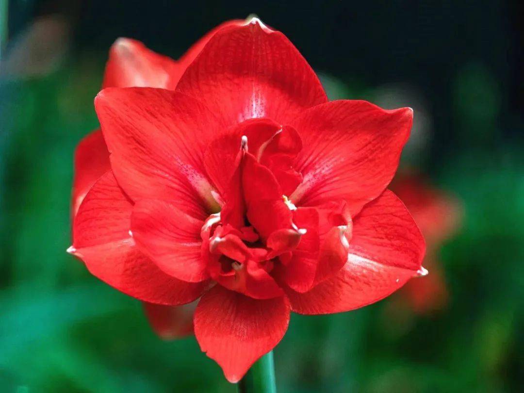 孤火花_孤火花_孤火花