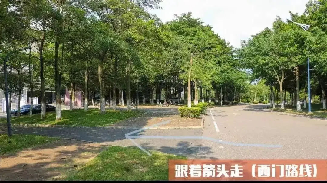 伊吹摩耶_伊吹摩耶_伊吹摩耶