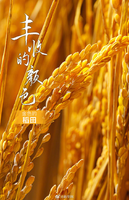 立夏的由来_立夏的由来_立夏的由来