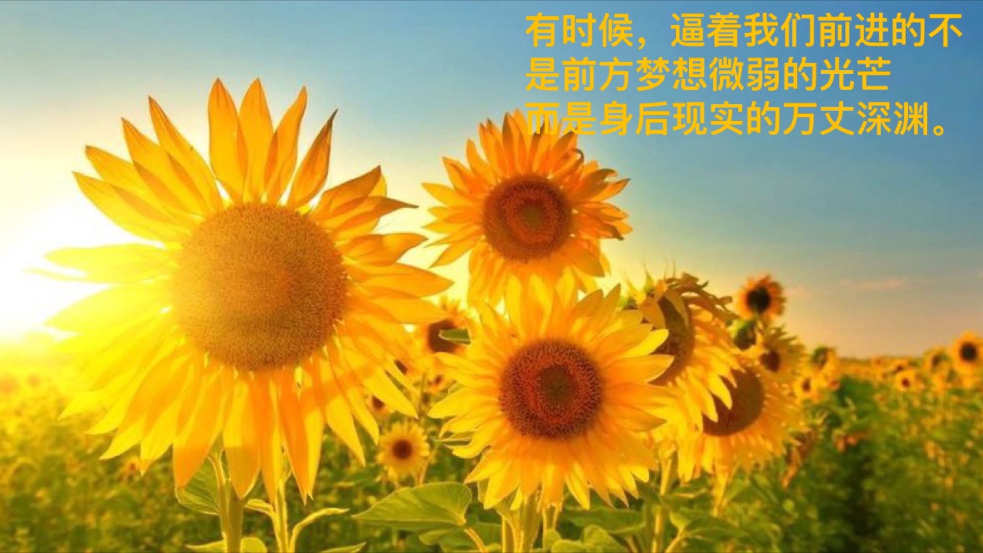 二十七_二十七_二十七