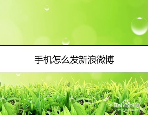 下载微博苹果版2020新版本_微博app下载苹果_苹果手机微博游戏在哪下