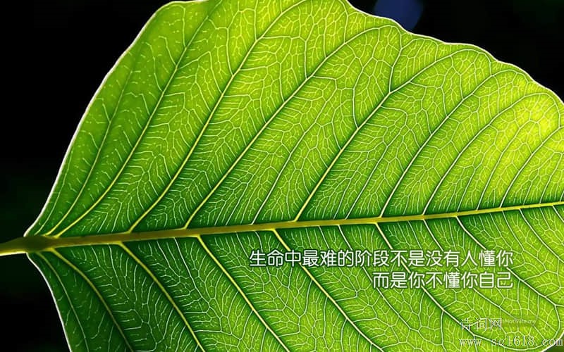 五月八日，中国人的团结与坚强：铭记那个刻骨铭心的日子