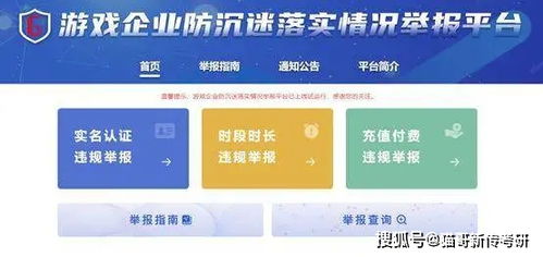 怎么举报游戏公司,维权之路详解