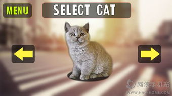 cat猫咪游戏,探索猫咪游戏的魅力世界