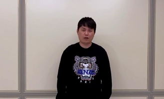 游戏翔哥,翱翔于虚拟世界的英雄传奇