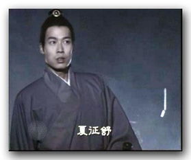 夏南游戏,探索奇幻冒险的虚拟世界