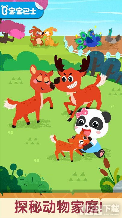和动物游戏,欢乐游戏时光
