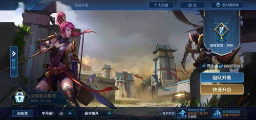 游戏老油子,揭秘资深玩家独门秘籍