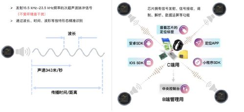 鱼声音乐手机版下载 